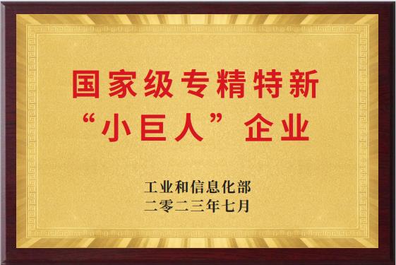 “小巨人”企業