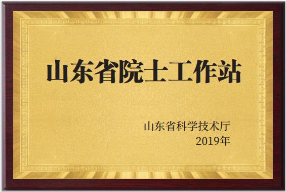 山東省院士工作站