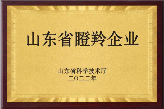 山東省瞪羚企業